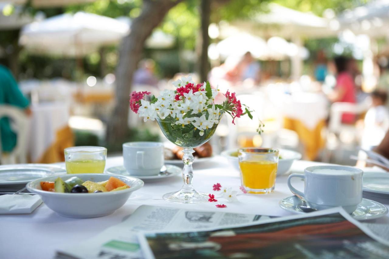 Alexandra Plaza Hotel 리치오네 외부 사진